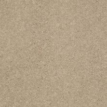Shaw Floors Shaw Design Center Beautifully Simple I 15′ Almond Bark 00106_5C751