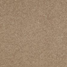Shaw Floors Shaw Design Center Beautifully Simple II 15′ Honeycomb 00200_5C752