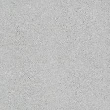 Shaw Floors Shaw Design Center Beautifully Simple II 15′ Sheer Silver 00500_5C752