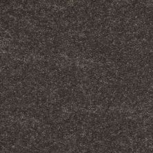 Shaw Floors Shaw Design Center Beautifully Simple II 15′ Charcoal 00504_5C752