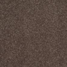 Shaw Floors Shaw Design Center Beautifully Simple II 15′ Briar Patch 00703_5C752