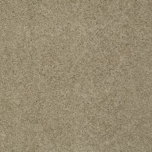 Shaw Floors Shaw Design Center My Destination II Clay Stone 00108_5C776
