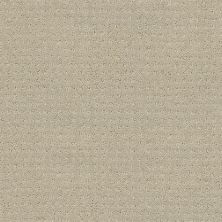 Shaw Floors Shaw Design Center My Destination Pattern Textured Canvas 00150_5C778