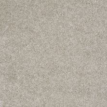 Shaw Floors Shaw Design Center Free Time Cascade 00152_5C787