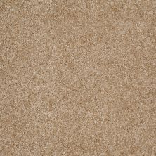 Shaw Floors Shaw Design Center Free Time Reed 00201_5C787