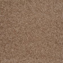 Shaw Floors Shaw Design Center Free Time Ridgecrest 00702_5C787
