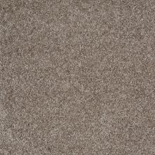 Shaw Floors Shaw Design Center Free Time Driftwood 00750_5C787