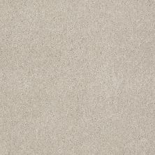 Shaw Floors Shaw Design Center Opportunity Knocks Linen 00104_5C788