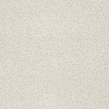 Shaw Floors Shaw Design Center Fantastical Sandy Shore