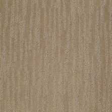 Shaw Floors Shaw Design Center Coral Canyon Sable
