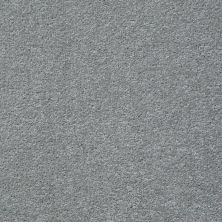 Shaw Floors Shaw Design Center Honest To Goodness Sterling 00500_5C793