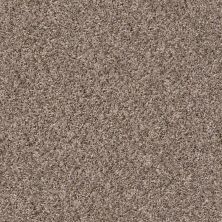 Shaw Floors Value Collections Cabana Bay (b) Net Brown Reed 00751_5E001