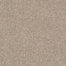 Shaw Floors Value Collections Cabana Bay Solid Net Shifting Sand 00105_5E002