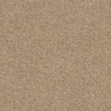 Shaw Floors Value Collections Cabana Bay Solid Net Camel 00107_5E002