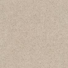 Shaw Floors Value Collections Cabana Bay Solid Net Sugar Cookie 00122_5E002