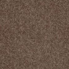 Shaw Floors Value Collections Cabana Bay Solid Net Cattail 00702_5E002