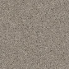 Shaw Floors Value Collections Cabana Bay Solid Net Perfect Taupe 00715_5E002