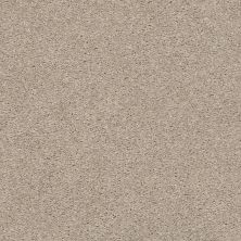 Shaw Floors Simply The Best Cabana Life Solid Net Shifting Sand 00105_5E003