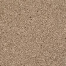 Shaw Floors Value Collections Cabana Life Solid Net Camel 00107_5E003
