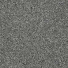 Shaw Floors Value Collections Cabana Life Solid Net Steel 00501_5E003