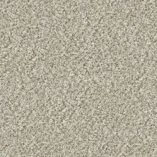 Shaw Floors Simply The Best Cabana Life (b) Net Seashell 00151_5E004