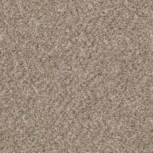 Shaw Floors Simply The Best Cabana Life (b) Net Summer Wind 00251_5E004