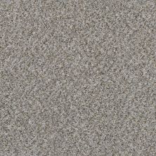 Shaw Floors Value Collections Cabana Life (b) Net Granite 00551_5E004