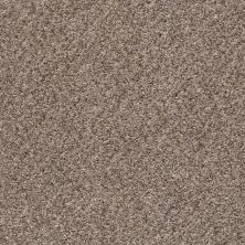 Shaw Floors Value Collections Cabana Life (b) Net Brown Reed 00751_5E004