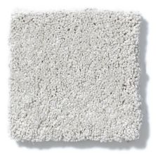 Shaw Floors Foundations Take The Floor Texture II Pebble Path 5E006_00135