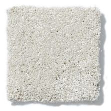 Shaw Floors Foundations Take The Floor Texture II Alpaca 5E006_00140