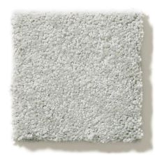Shaw Floors Foundations Take The Floor Texture II Gray Owl 5E006_00538