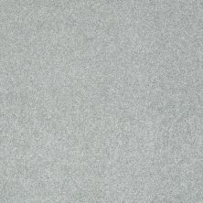 Shaw Floors Take The Floor Texture II Pewter 00551_5E006