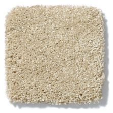 Shaw Floors Foundations Take The Floor Texture Blue Hazelnut 5E007_00750