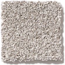 Shaw Floors Foundations Take The Floor Tonal I Silver Charm 5E008_00501