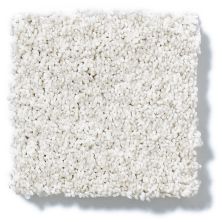 Shaw Floors Foundations Take The Floor Tonal II Orion 5E009_00160