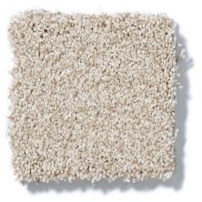 Shaw Floors Foundations Take The Floor Tonal II Fantasy 5E009_00162