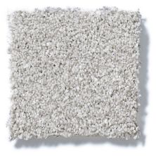 Shaw Floors Foundations Take The Floor Tonal II Mystic 5E009_00560