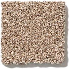 Shaw Floors Foundations Take The Floor Tonal II Sienna 5E009_00761