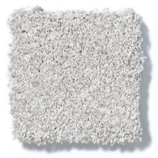 Shaw Floors Foundations Take The Floor Tonal Blue Classique 5E010_00161