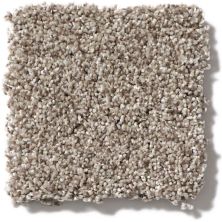 Shaw Floors Foundations Take The Floor Tonal Blue Triumph 5E010_00164