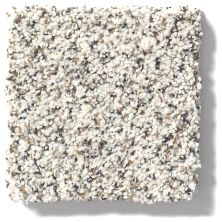 Shaw Floors Foundations Take The Floor Accent II Avalanche 5E012_00173
