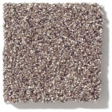 Shaw Floors Foundations Take The Floor Accent II Storm 5E012_00771