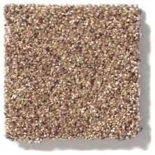 Shaw Floors Foundations Take The Floor Accent Blue Baltic Brown 5E013_00770