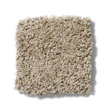 Shaw Floors Foundations Take The Floor Twist Blue Hazelnut 5E016_00750