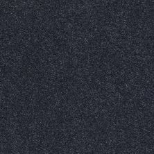 Shaw Floors SFA Fyc Ns I Net Star Gazing (s) 433S_5E018