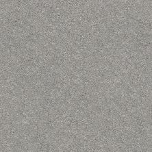 Shaw Floors SFA Fyc Ns I Net Cool Breeze (s) 525S_5E018