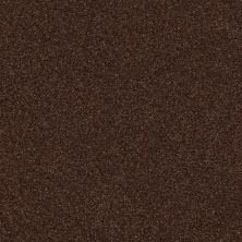 Shaw Floors SFA Fyc Ns I Net Chocolate Treat (s) 707S_5E018