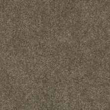Shaw Floors SFA Fyc Ns I Net Summer House (s) 708S_5E018