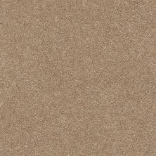 Shaw Floors SFA Fyc Ns I Net Falling Leaves (s) 720S_5E018