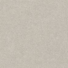 Shaw Floors SFA Fyc Ns II Net Chill In The Air (s) 126S_5E019